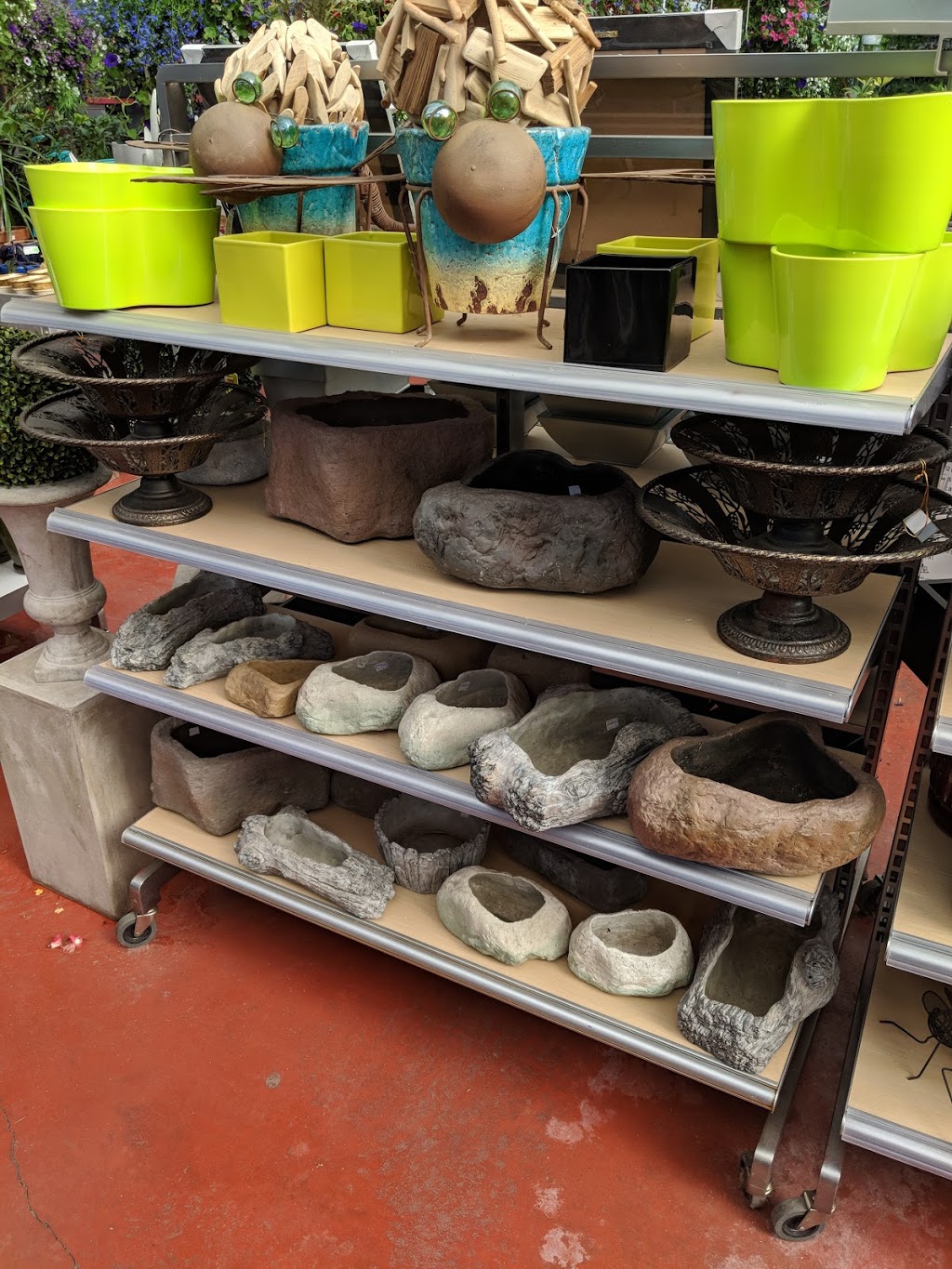 Homestead Nurseryland & Florist | 31888 Marshall Rd, Abbotsford, BC V2T 5Z9, Canada | Phone: (604) 854-6601