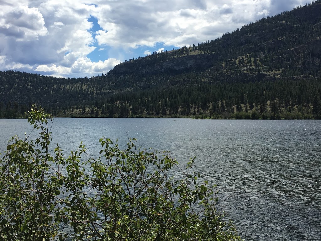 Vaseux Lake Bird Observatory | 1R0, BC-97, Okanagan Falls, BC V0H 1R0, Canada