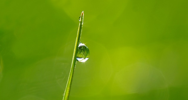 Health Chinese Medicine & Acupuncture | 32 Townsgate Dr, Thornhill, ON L4J 8A4, Canada | Phone: (905) 731-5179