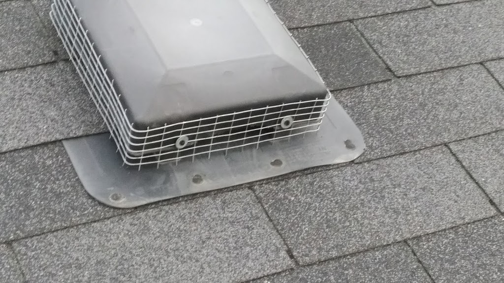 Need Pest Control | 260 Falling Green Cres, Kitchener, ON N2R 0E9, Canada | Phone: (226) 600-5597
