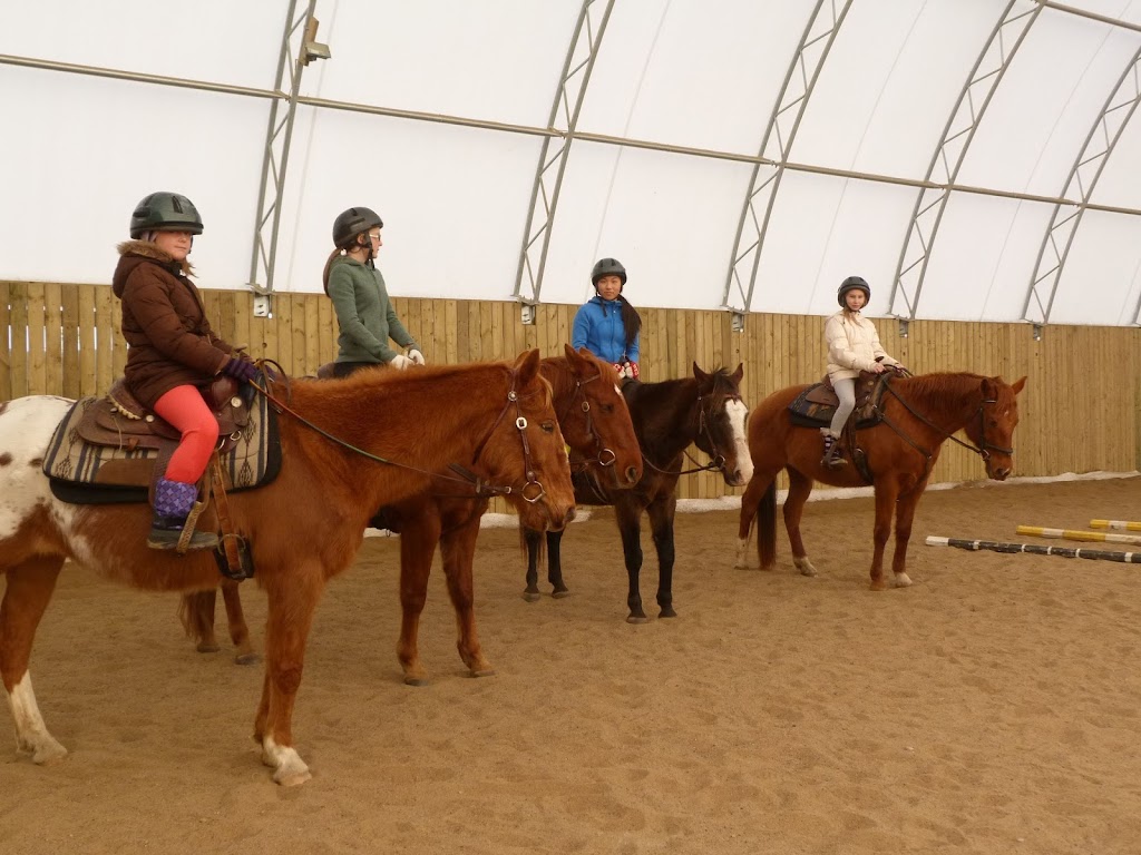 Highland Wilderness Tours | 239 E Lake Rd, Maynooth, ON K0L 2S0, Canada | Phone: (613) 334-9105