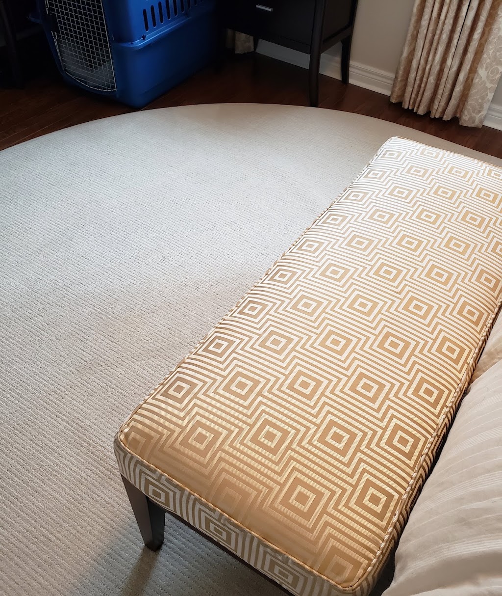 Keep It Clean Toronto Carpet and Upholstery Cleaning | 20 Strathgowan Ave, Toronto, ON M4N 1B9, Canada | Phone: (647) 885-1485