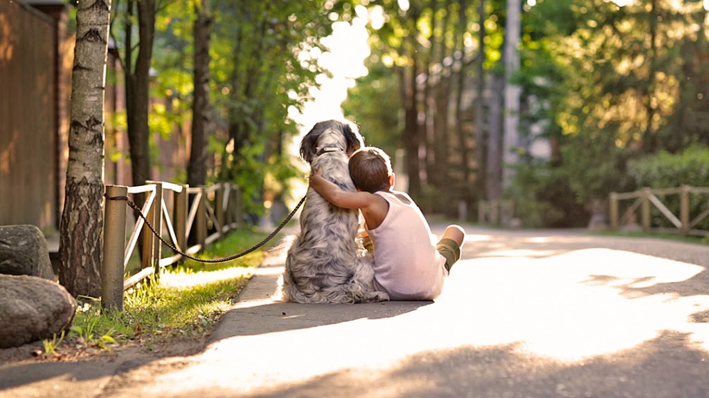 Petcurean | 44550 S Sumas Rd #435, Chilliwack, BC V2R 5M3, Canada | Phone: (604) 824-0320