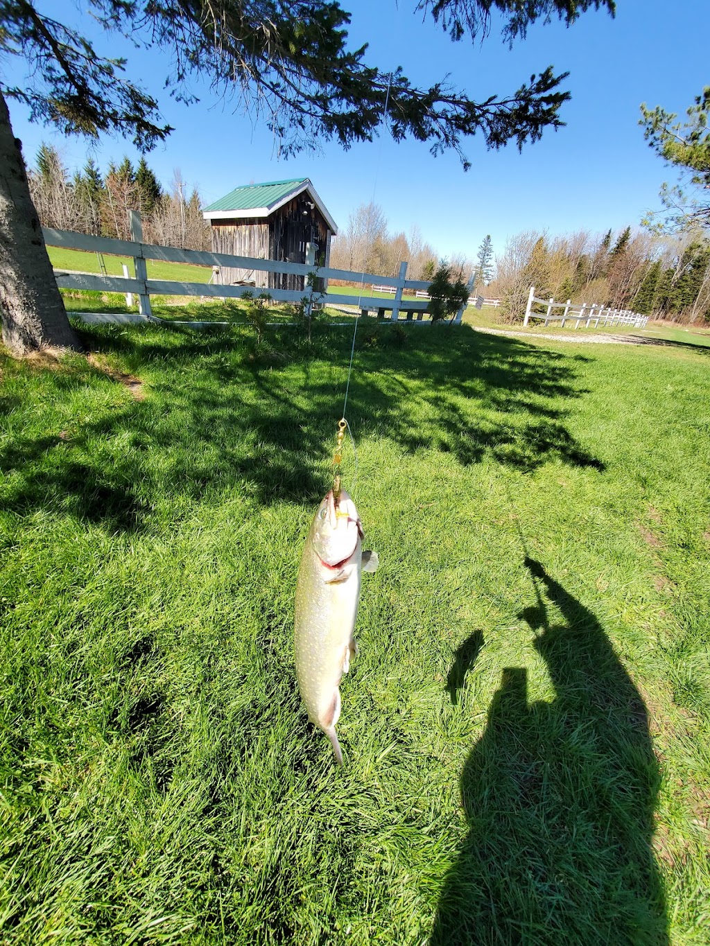 Ferme & pisciculture Lac en Ville | 15550 Bd Valcartier, Québec, QC G2A 0A1, Canada | Phone: (418) 845-3343