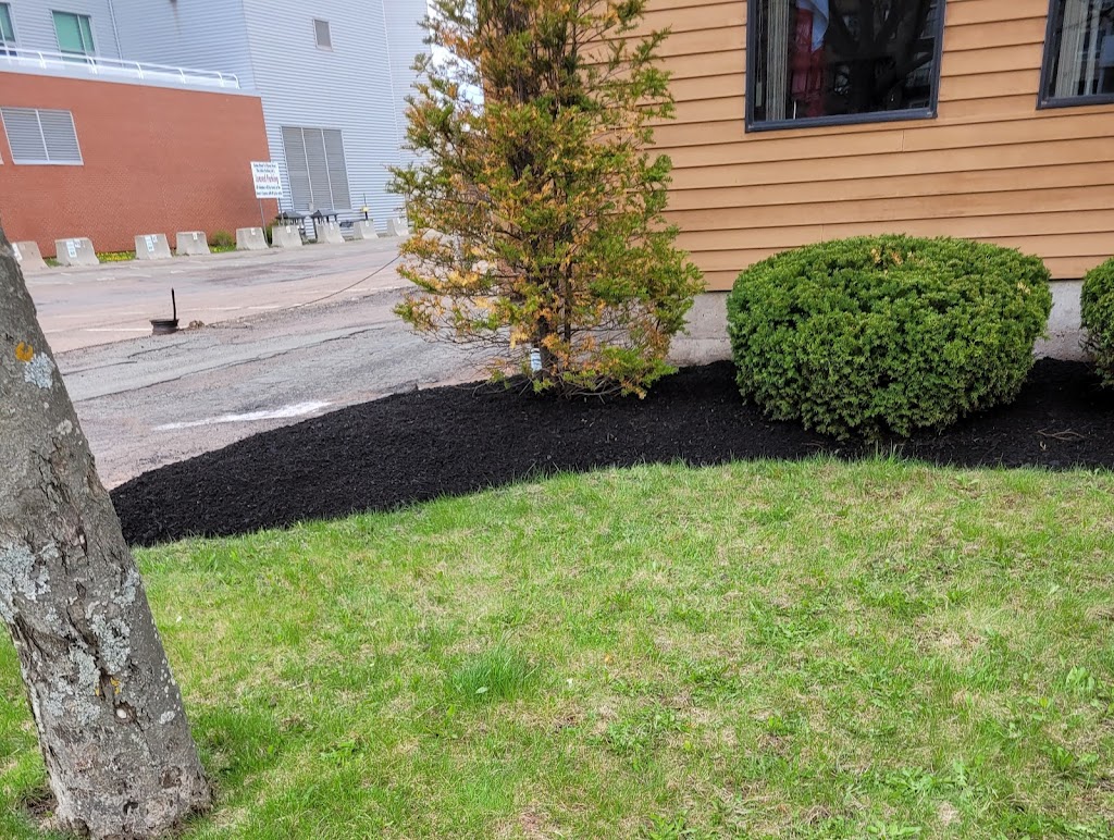 Efficient Lawn care | 181 Watts Rd, York, PE C0A 1P0, Canada | Phone: (782) 377-1039
