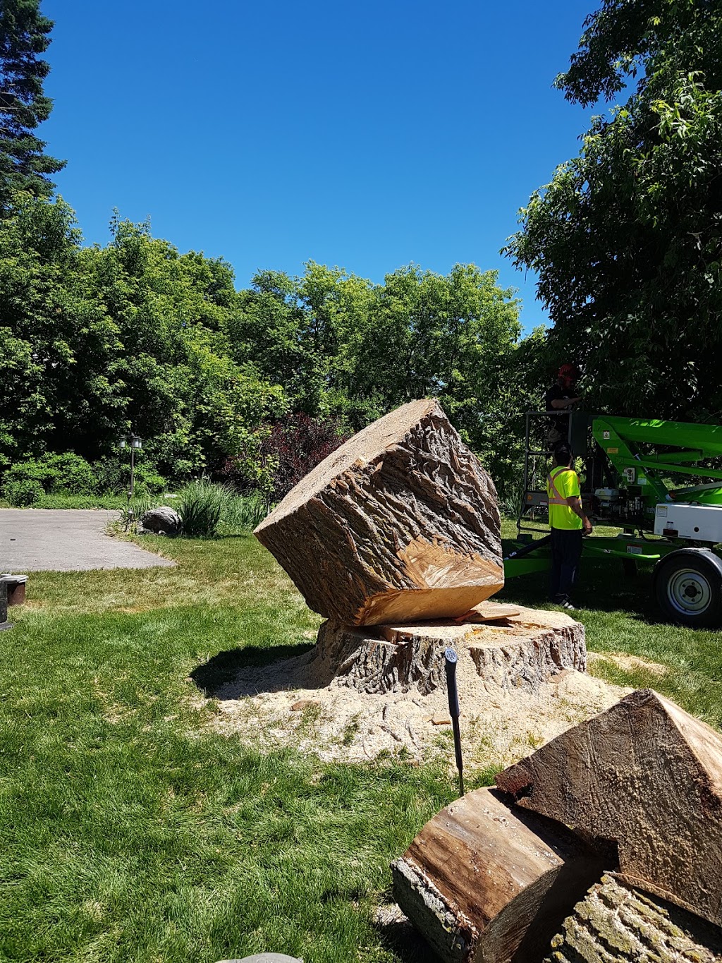 Cory’s tree services | 2 George St, Cookstown, ON L0L 1L0, Canada | Phone: (905) 751-8806