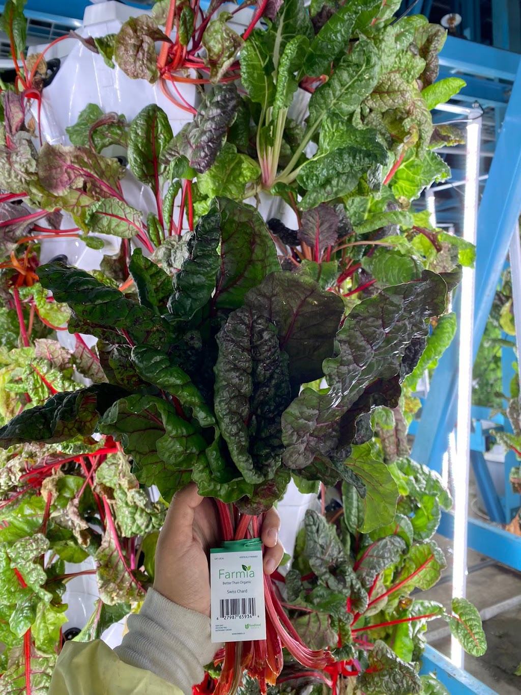 Farmia Agritech | 100 Kellogg Ln, London, ON N5W 2T5, Canada | Phone: (647) 990-0151