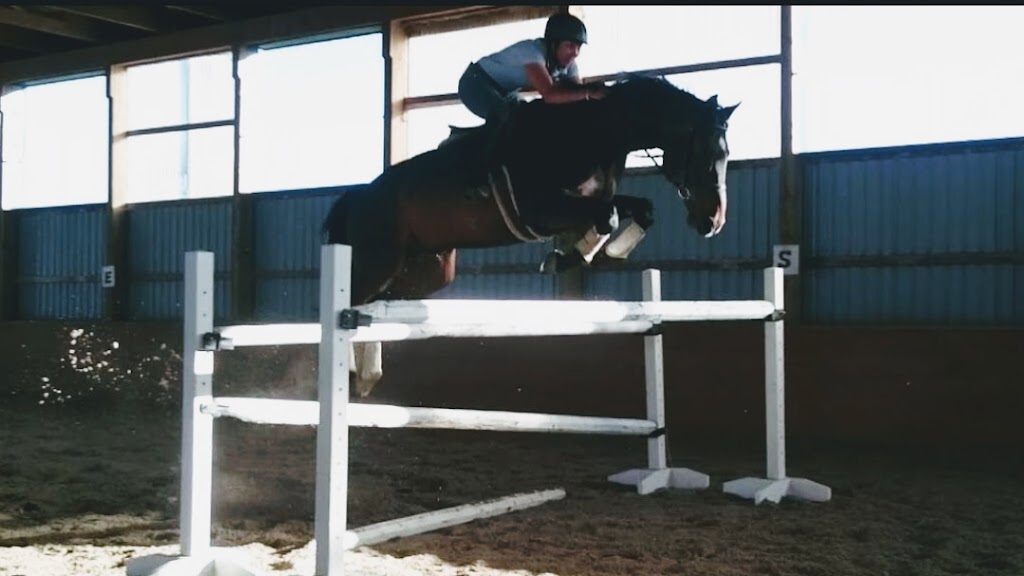Nowell Equine | 274188, Range Rd 20, AB T4B 4M4, Canada | Phone: (403) 996-4456