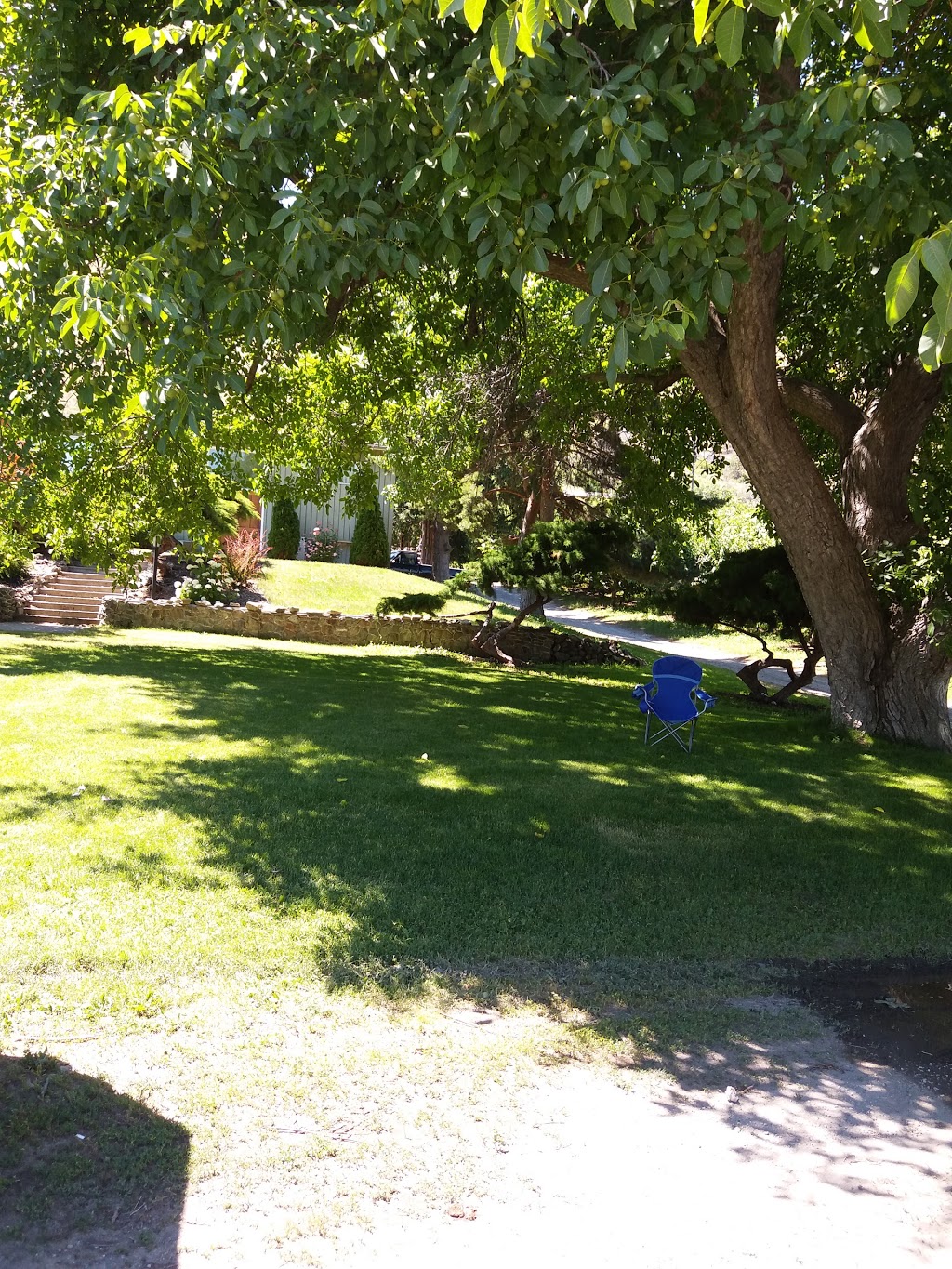 Stevens Farms | 3828 Okanagan Hwy, Osoyoos, BC V0H 1V5, Canada | Phone: (250) 689-1137