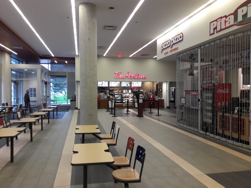 Tim Hortons | 284 Earl St, Kingston, ON K7L 3N6, Canada | Phone: (613) 533-6000