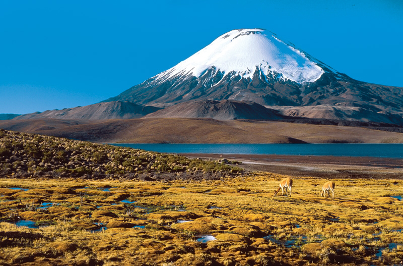 Latin American Travel | 326 Dalhousie Dr, Winnipeg, MB R3T 2Z5, Canada | Phone: (204) 338-7519