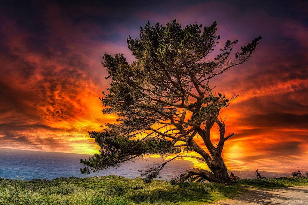 Images by Andy K | 705-906 Surrey Ln, Burlington, ON L7T 3Z4, Canada | Phone: (289) 442-7886