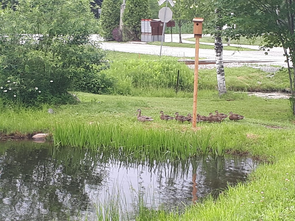 Domaine Des Cantons Inc | 315 QC-112, Saint-Étienne-de-Bolton, QC J0E 2E0, Canada | Phone: (450) 297-2444