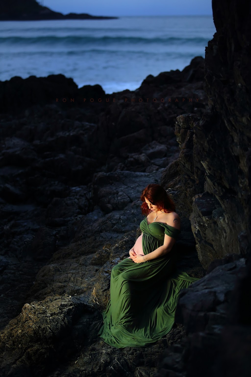 Ron Pogue Photography | 2491 Emmerson Rd, Black Creek, BC V9J 1H9, Canada | Phone: (250) 702-3001