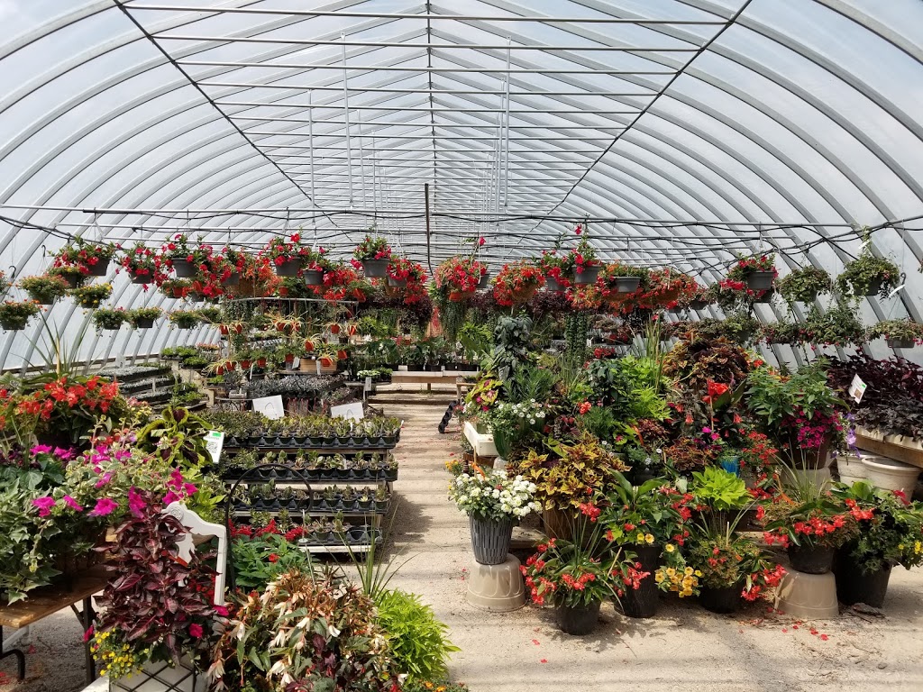 Davishill Nursery | 1258 Highway RR#2 #4, Walkerton, ON N0G 2V0, Canada | Phone: (519) 507-5050