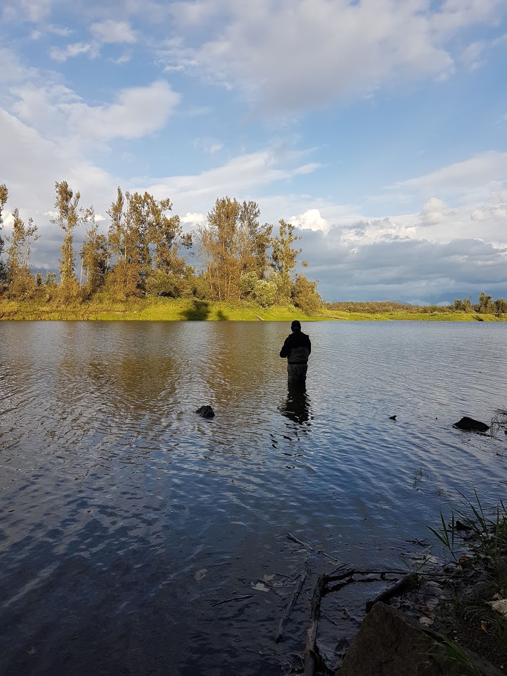 Nicomen Slough | 8074 River Rd S, Fraser Valley G, BC V2V 6T1, Canada