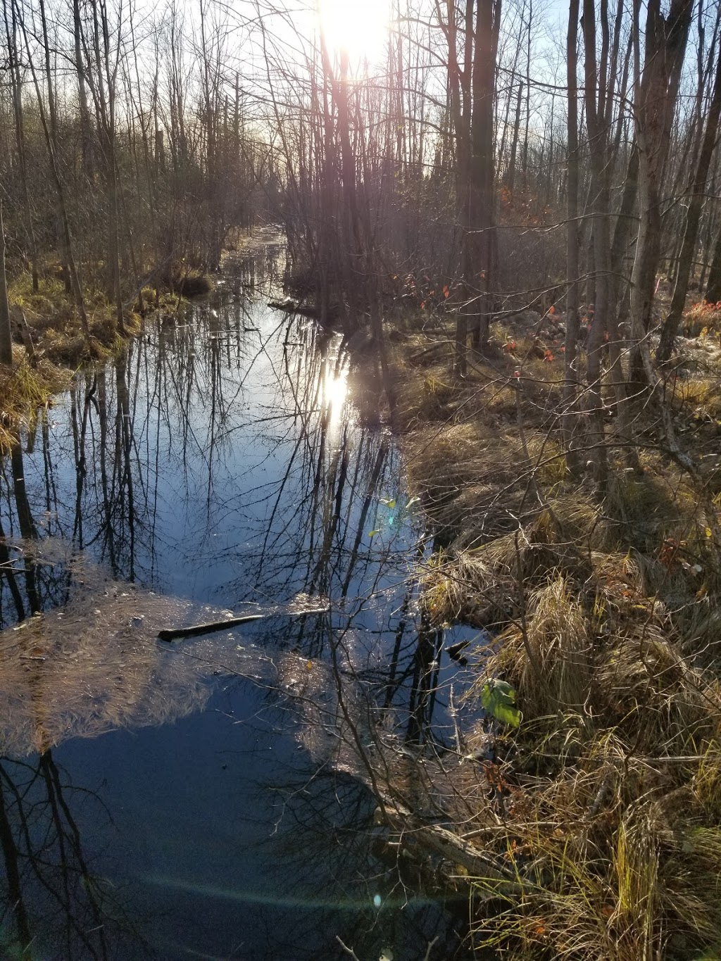 Boisé du Plan Bouchard | Plan-Bouchard, Blainville, QC J0N 1H0, Canada