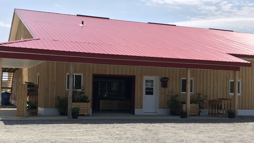 Jardins Bio Campanipol | 5 Chemin Campanipol, Sainte-Geneviève-de-Batiscan, QC G0X 2R0, Canada | Phone: (418) 362-2468