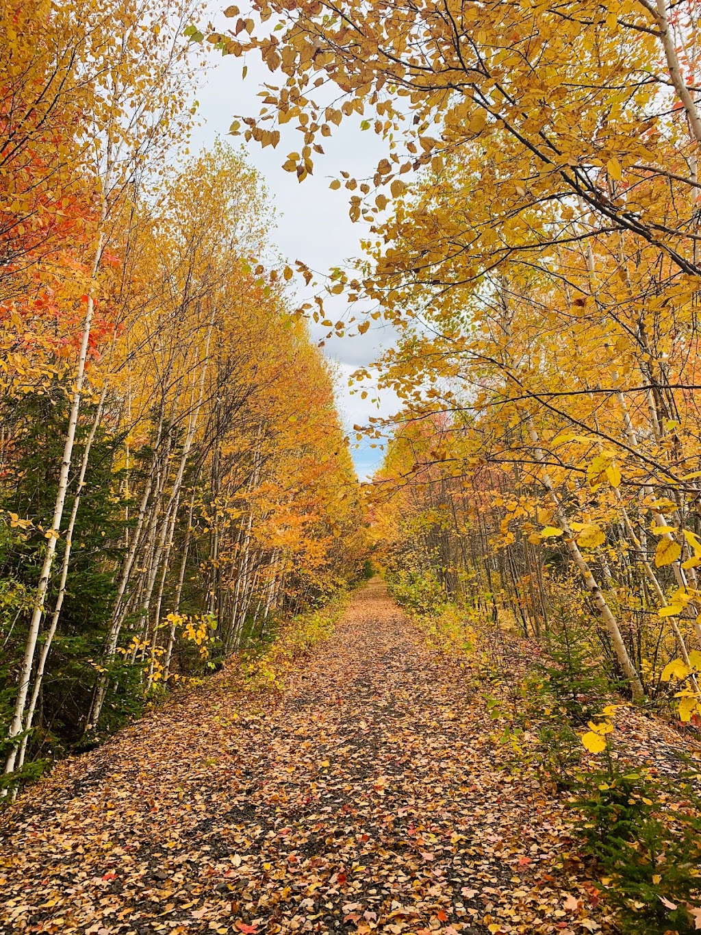 Kiosk Campground | ON-630, Calvin, ON P0H 1V0, Canada | Phone: (705) 744-2579