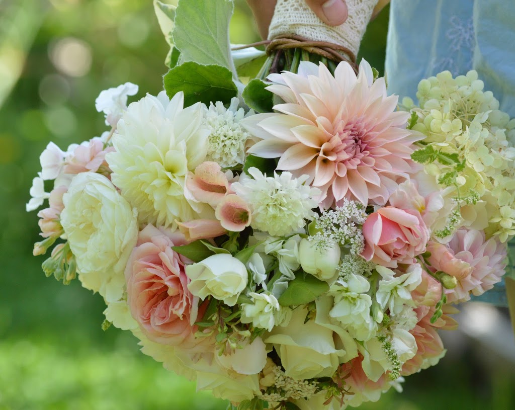 Night Song Farm | 3490 Glenora Rd, Duncan, BC V9L 6S2, Canada | Phone: (250) 748-2791