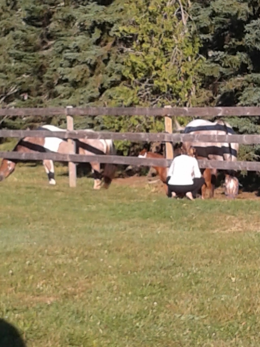 Hampton Bible Camp | 229 Lakeside Rd, Hampton, NB E5N 6M7, Canada | Phone: (506) 832-4669