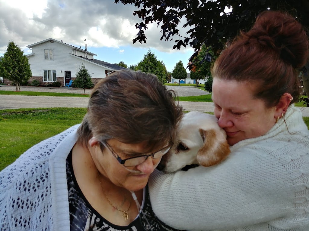 Scott Veterinary Services | 2058 ON-551, Mindemoya, ON P0P 1S0, Canada | Phone: (705) 377-5666