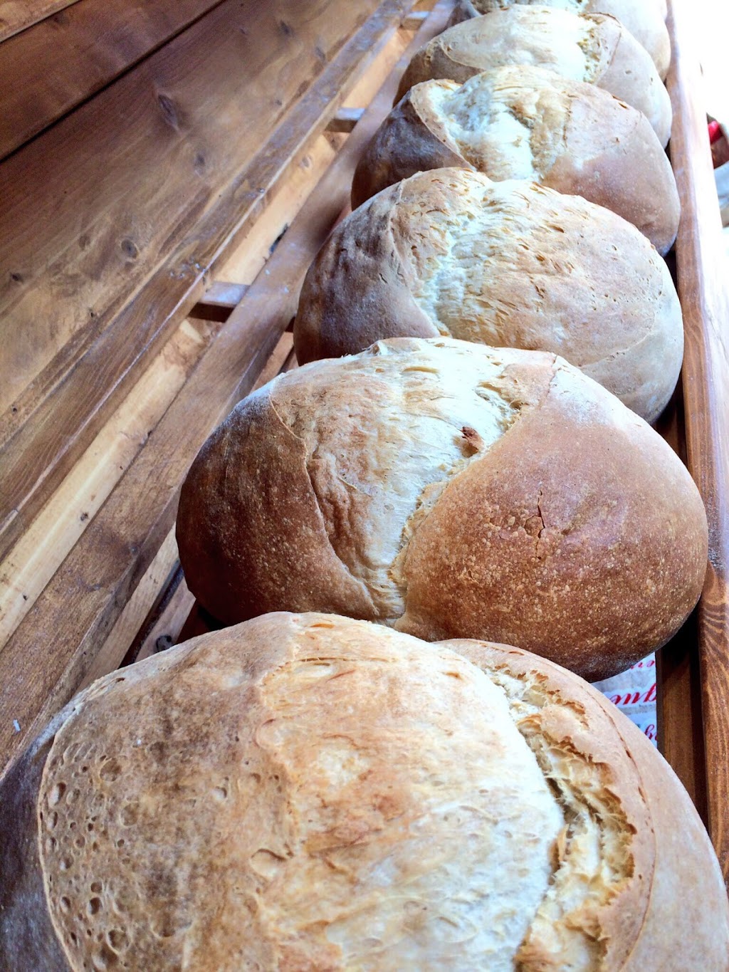Portuguese Bakery and Syrian Kitchen | 48 Nelson St, Ottawa, ON K1N 7R2, Canada | Phone: (613) 789-8014