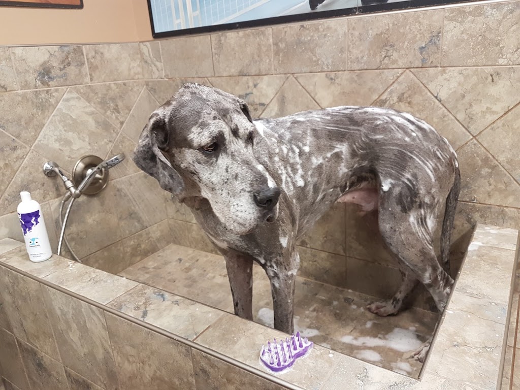 Pet Valu | 7 Assiniboine Dr, Saskatoon, SK S7K 1H1, Canada | Phone: (306) 955-5099