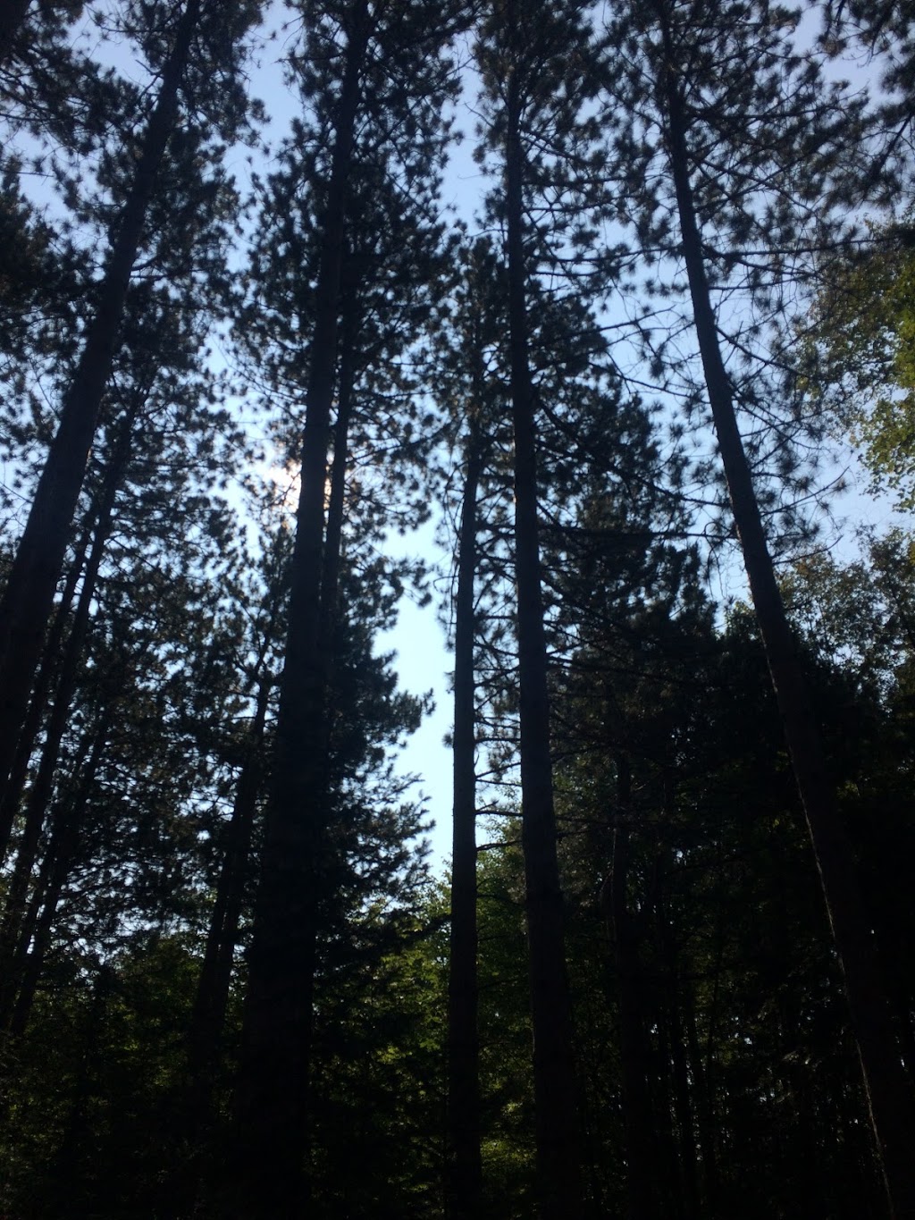 Chickadee Trail | Kemptville, ON K0G 1J0, Canada