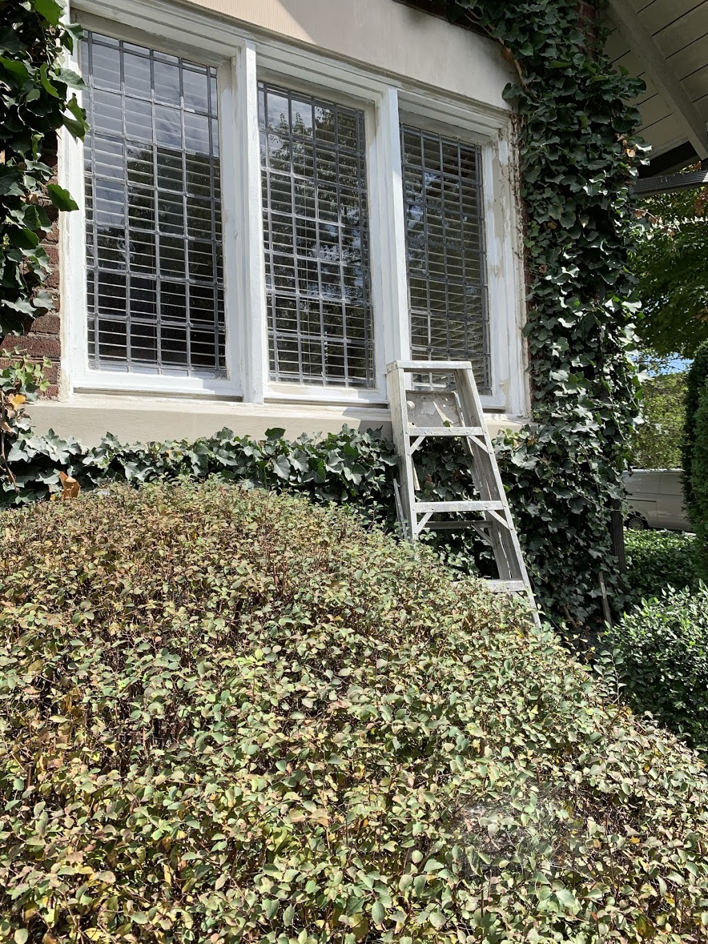 York Painting Group | 31 Samson Trail, Nobleton, ON L7B 0A5, Canada | Phone: (416) 302-2069