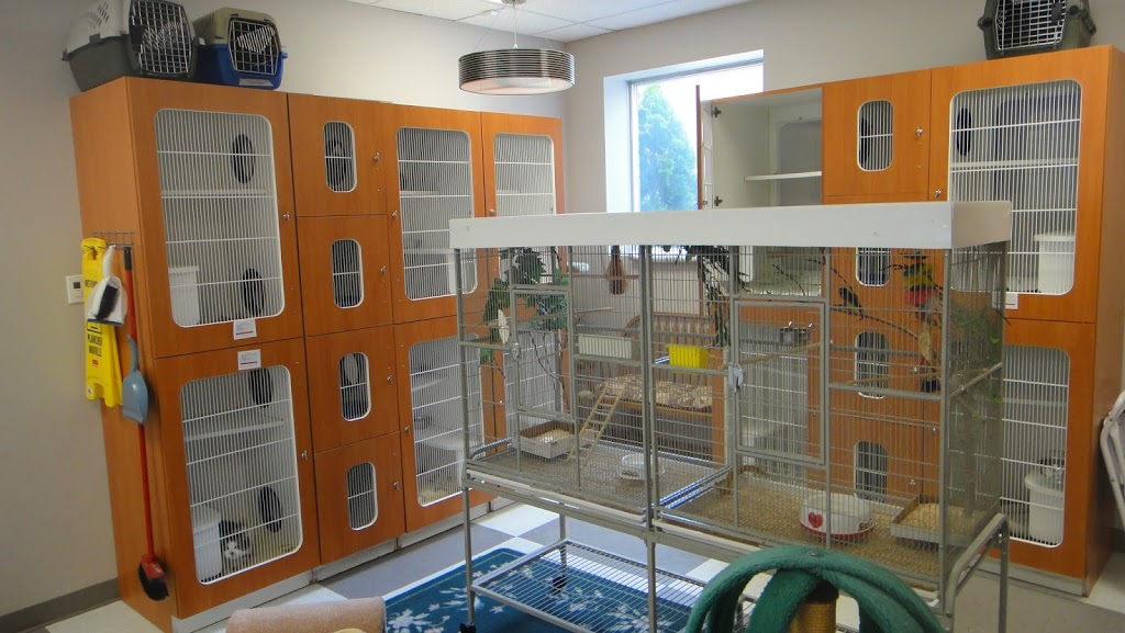 Guelph Cat Clinic | 15 Surrey St W #4, Guelph, ON N1H 3R3, Canada | Phone: (519) 821-2287