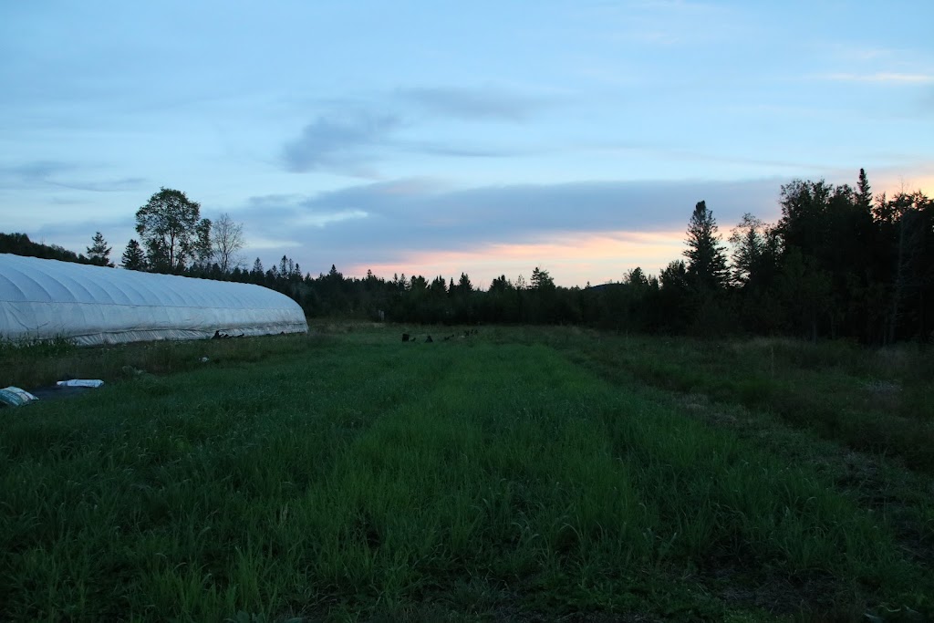 Jardins du fin renard | 1583 Chem. Rockway-Valley, Amherst, QC J0T 2L0, Canada | Phone: (514) 813-6225
