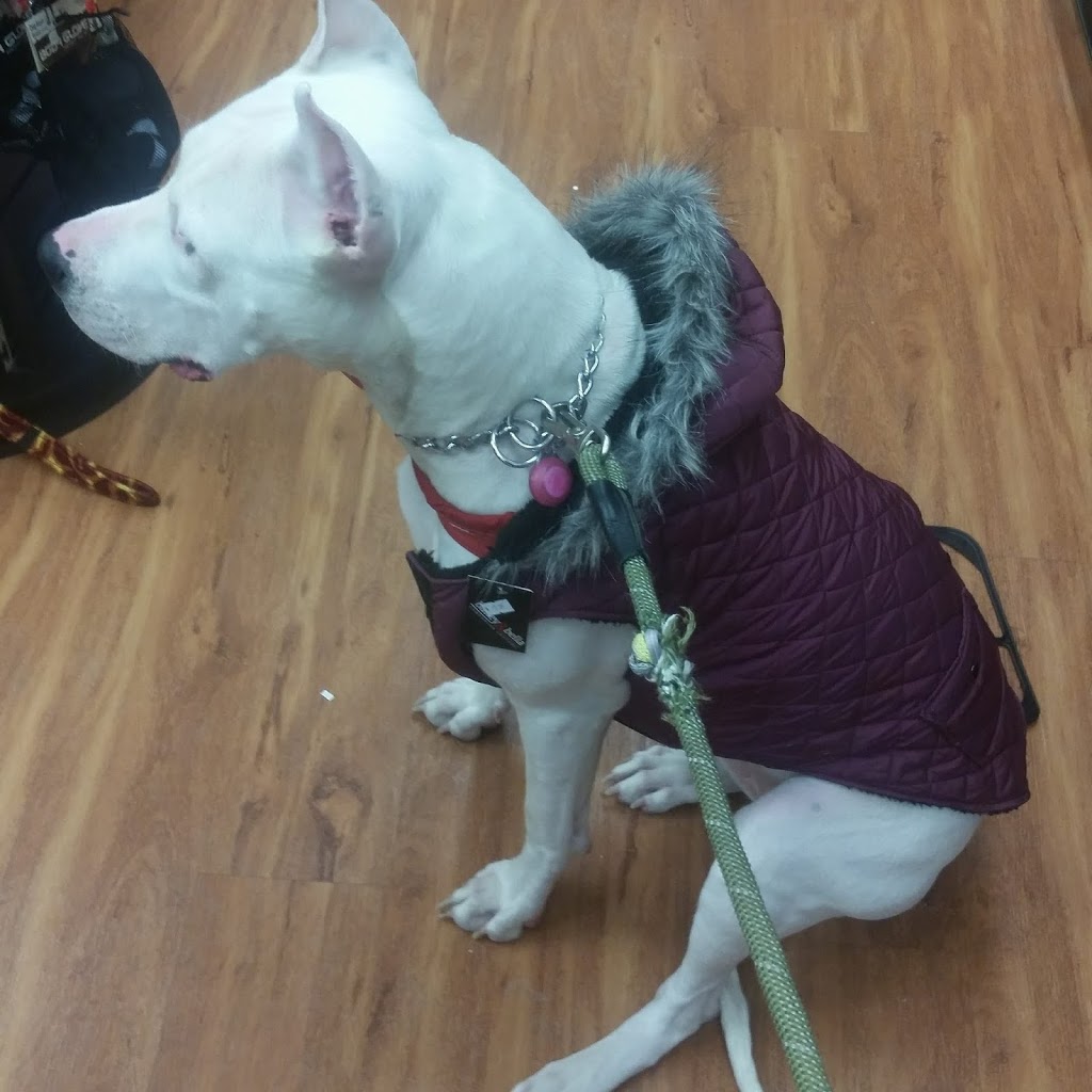 Pet Valu | 3 Reenders Dr, Winnipeg, MB R2C 5K5, Canada | Phone: (204) 654-9955