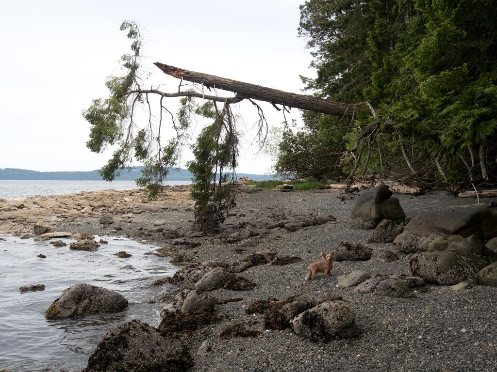 Blue Heron Park | Westby Rd, Ladysmith, BC V9G 1E8, Canada | Phone: (250) 746-2620