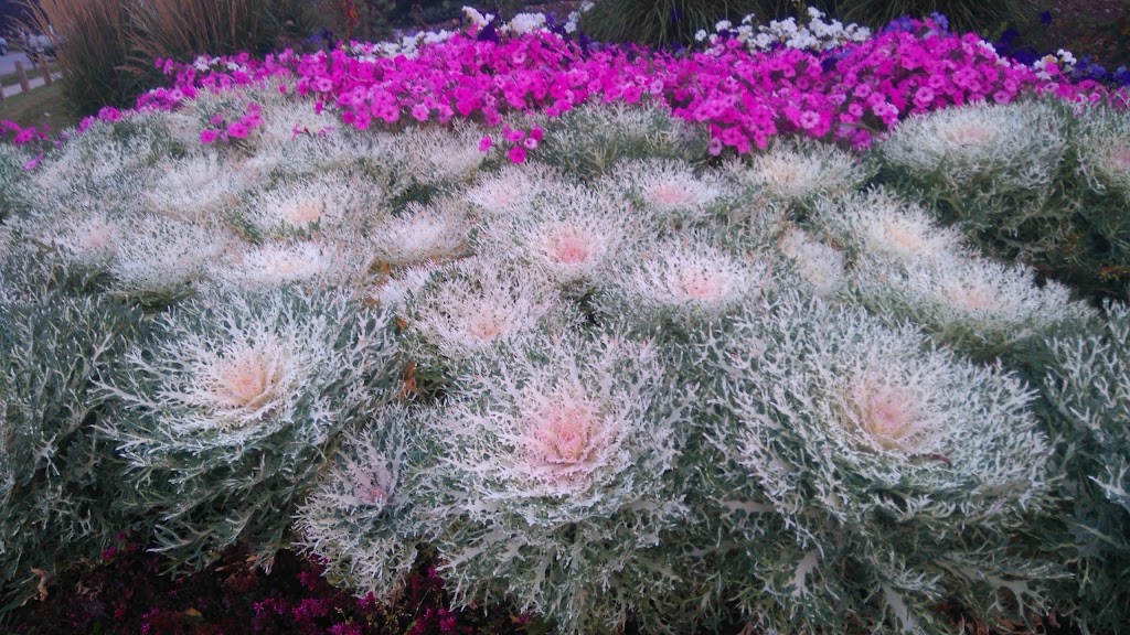 Shaughnessy Greenhouse | 5 St, Shaughnessy, AB T0K 2A0, Canada | Phone: (403) 381-4791