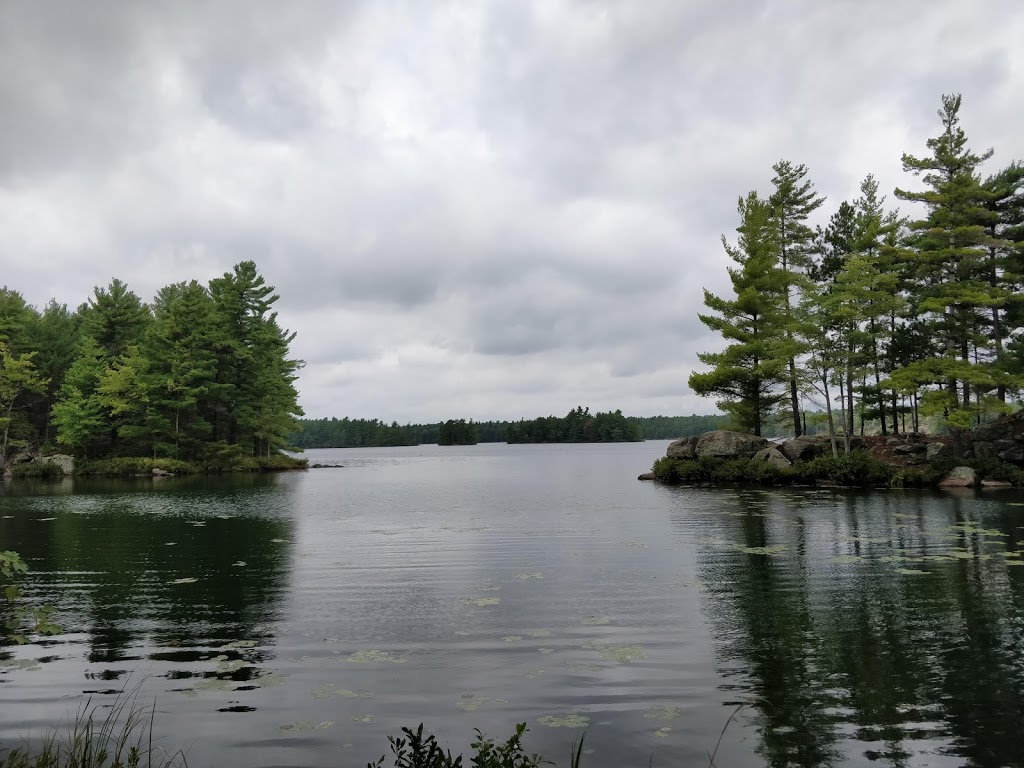 Frontenac Provincial Park | 6700 Salmon Lake Rd, Sydenham, ON K0H 2T0, Canada | Phone: (613) 376-3489