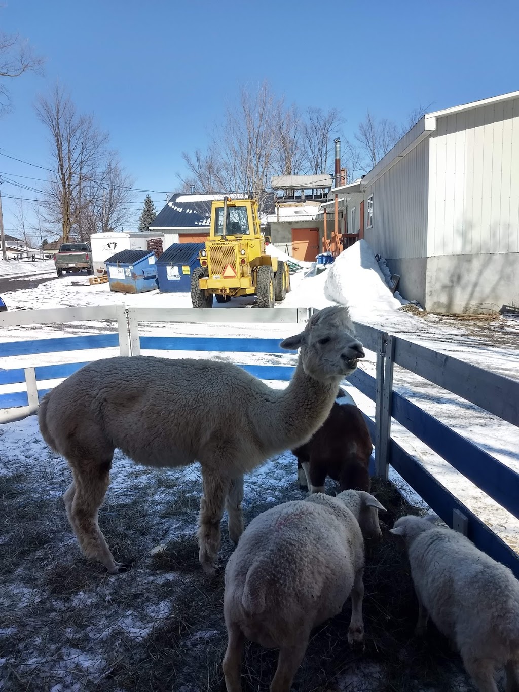 Farsa salles de réception et cabane à sucre | 1050 Boulevard Arthur-Sauvé, Saint-Eustache, QC J7R 4K3, Canada | Phone: (450) 473-3840