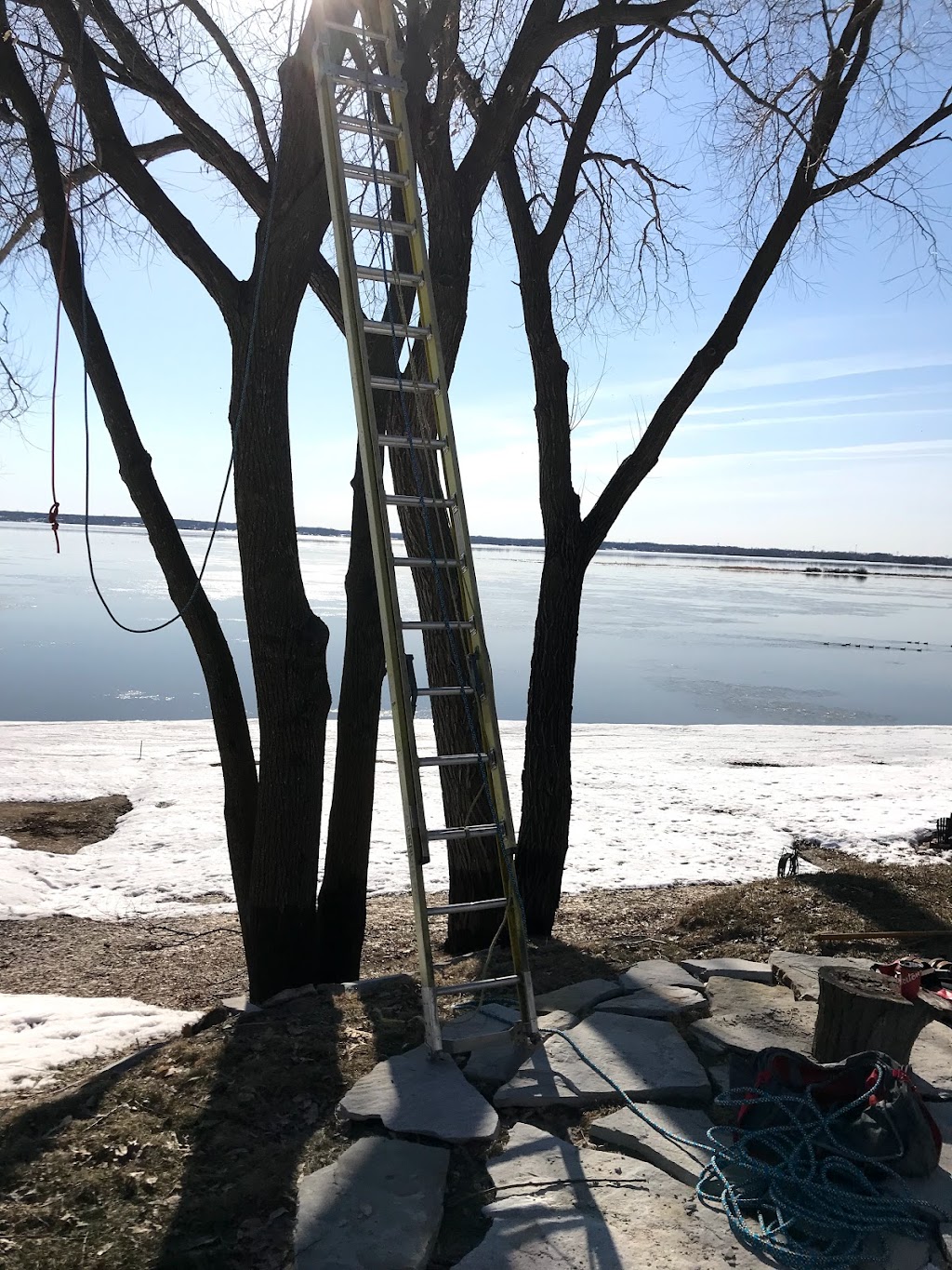 Services D’arbre Expert | 101 Terr. Miron, Lavaltrie, QC J5T 1B7, Canada | Phone: (514) 829-1890