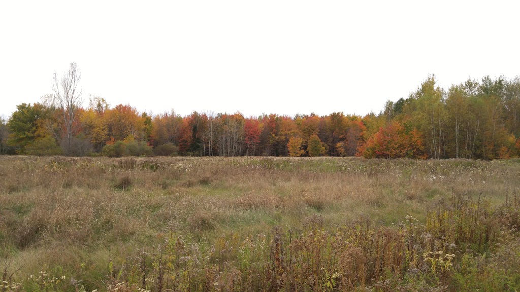 Agence Parcs Canada | 10000 Boulevard des Forges, Trois-Rivières, QC G9C 1B1, Canada