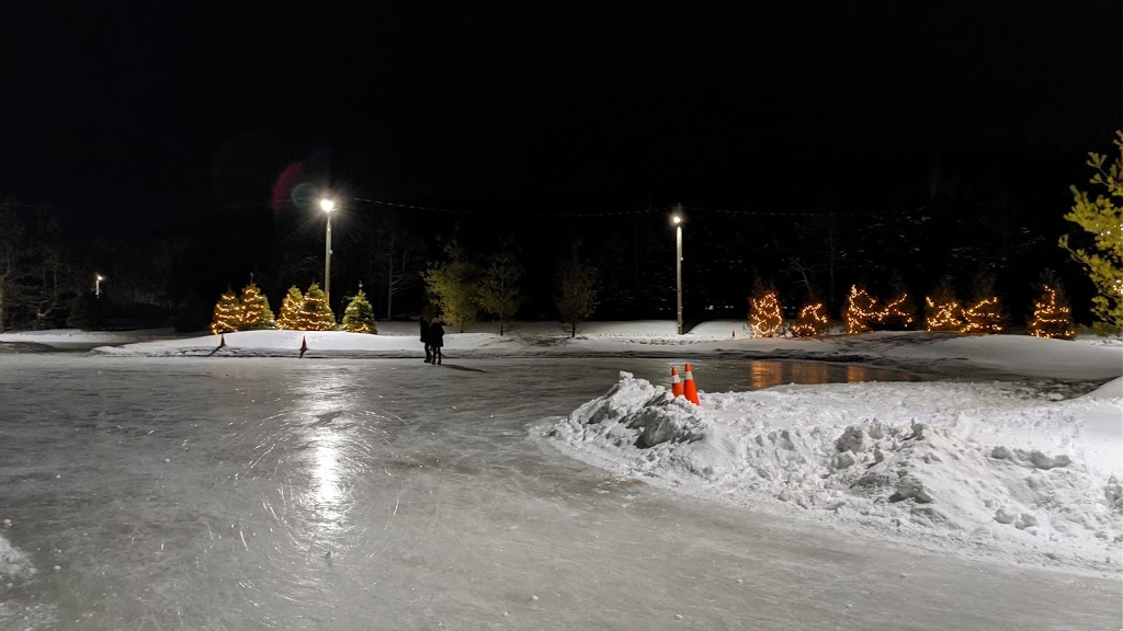 Woodview Mountain Top Skating | 201 Scenic Caves Road Unit AW2, The Blue Mountains, ON L9Y 0P2, Canada | Phone: (833) 583-2583