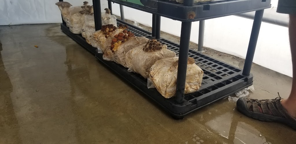 Red Fox Farms | Wheatland County, AB T0J 1Y0, Canada | Phone: (587) 436-7145