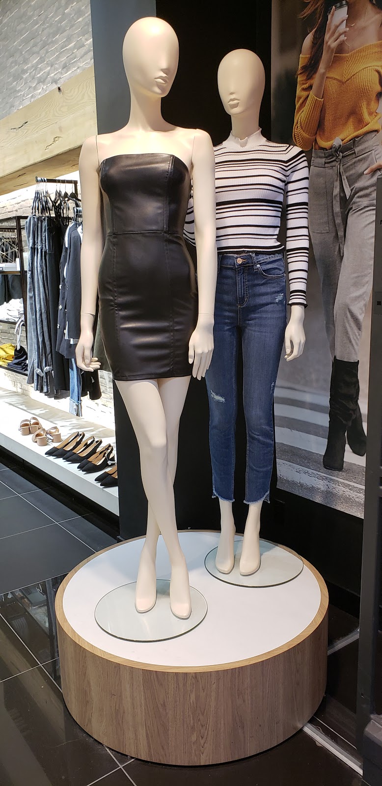 Dynamite | 999 Upper Wentworth St #148, Hamilton, ON L9A 4X5, Canada | Phone: (905) 387-8198