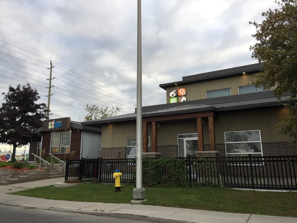 Orleans Veterinary Hospital | 1992 Tenth Line Rd, Orléans, ON K1E 0A7, Canada | Phone: (613) 824-7511