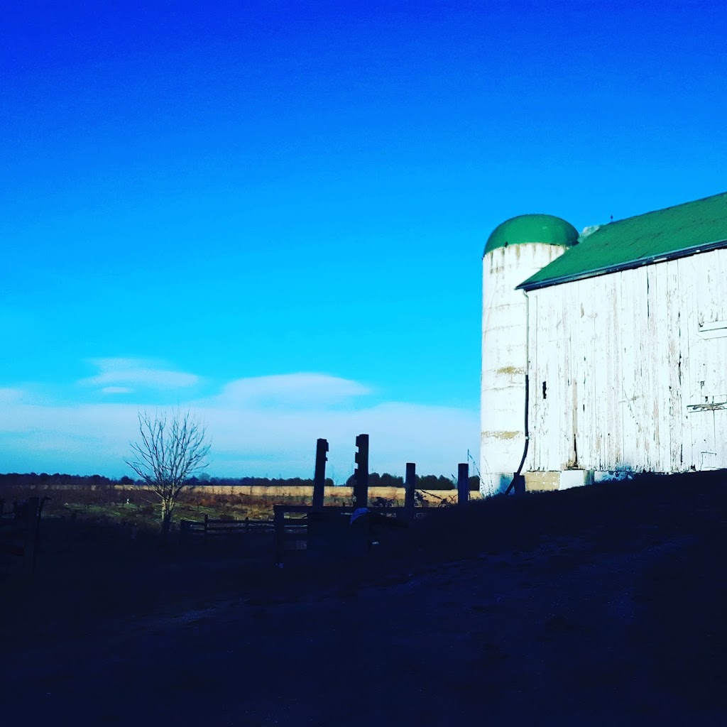 Farm on the Fourteenth | 149 Fourteenth Street West, Simcoe, ON N3Y 4K6, Canada | Phone: (519) 410-2899