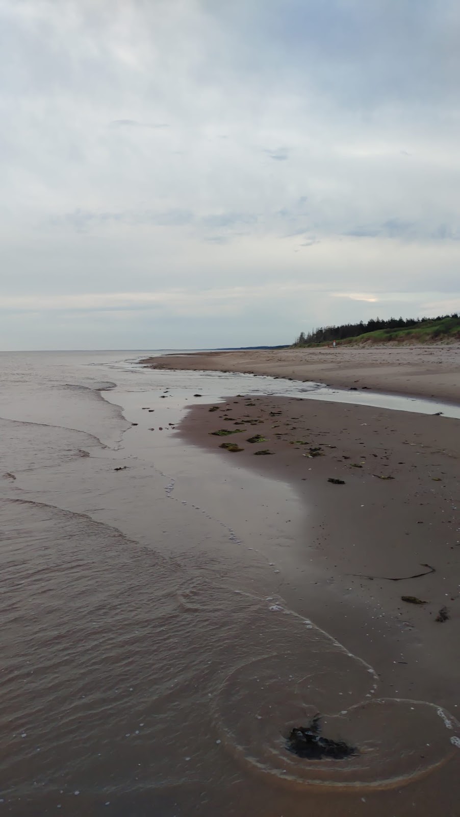 Stanhope Cape Beach, Prince Edward Island National Park | 1430 Gulf Shore Pkwy E, York, PE C0A 1P0, Canada | Phone: (902) 672-6350
