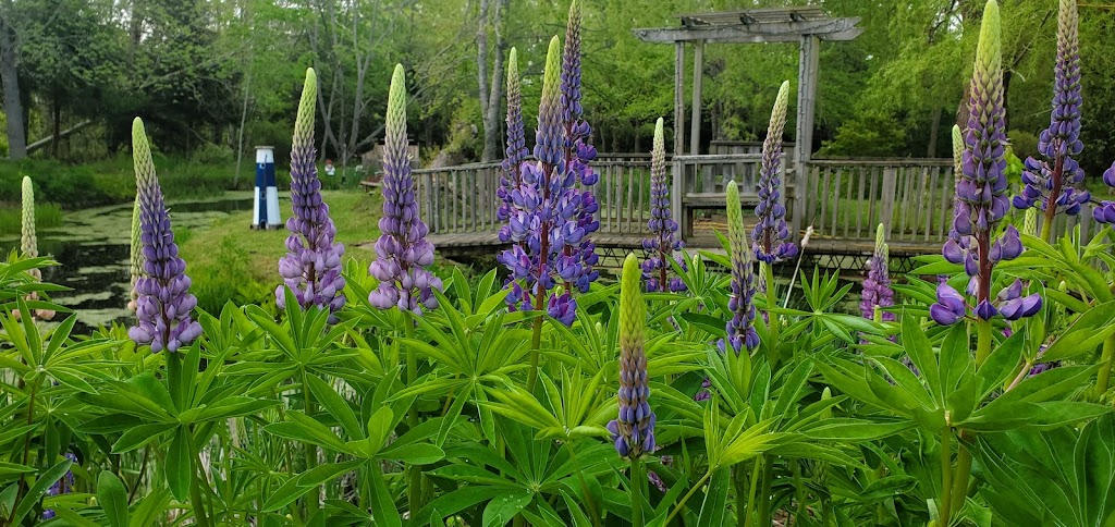 Brownings Bed & Breakfast | 8358 NS-221, Centreville, NS B0P 1J0, Canada | Phone: (902) 670-0443