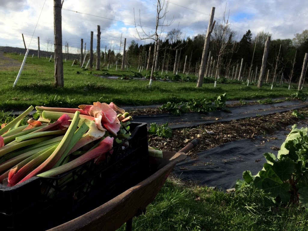 Jardin des buttes | Domaine-Patricia, Tingwick, QC J0A 1L0, Canada | Phone: (819) 469-5055