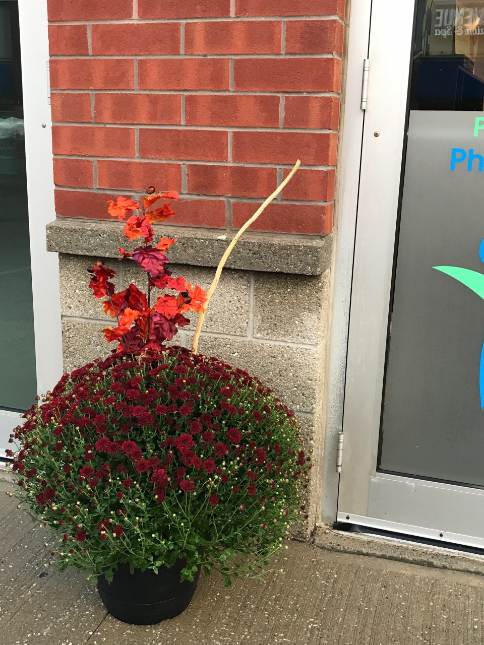 Premier Care Physiotherapy | 11685 Yonge St A106, Richmond Hill, ON L4E 0K7, Canada | Phone: (905) 237-7174