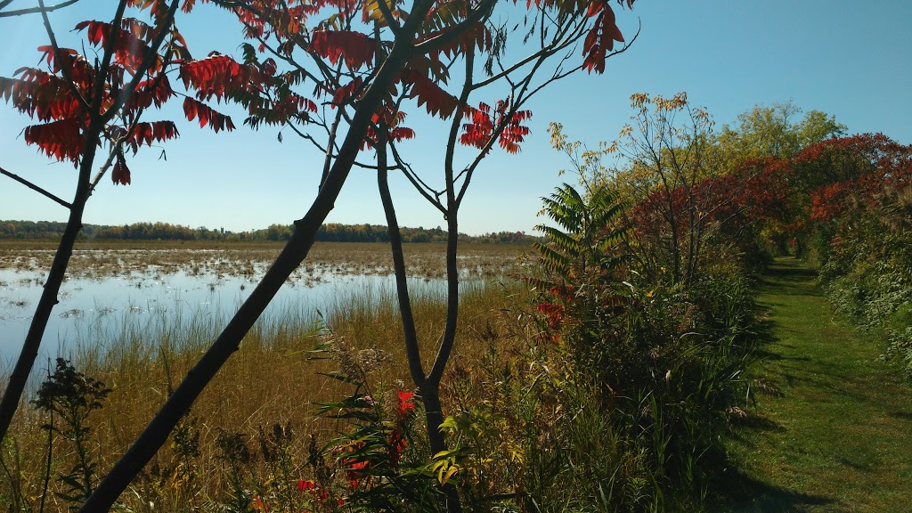Friends of the National Wildlife Lac-Saint-François | 7600 Chemin de la Pointe-Fraser, Saint-Anicet, QC J0S 1L0, Canada | Phone: (450) 264-5908