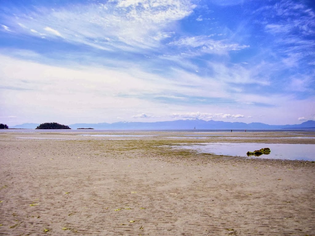 Sand Dollar Log Cabin | 5270 Gillies Bay Rd, Gillies Bay, BC V0N 1W0, Canada | Phone: (778) 861-0333